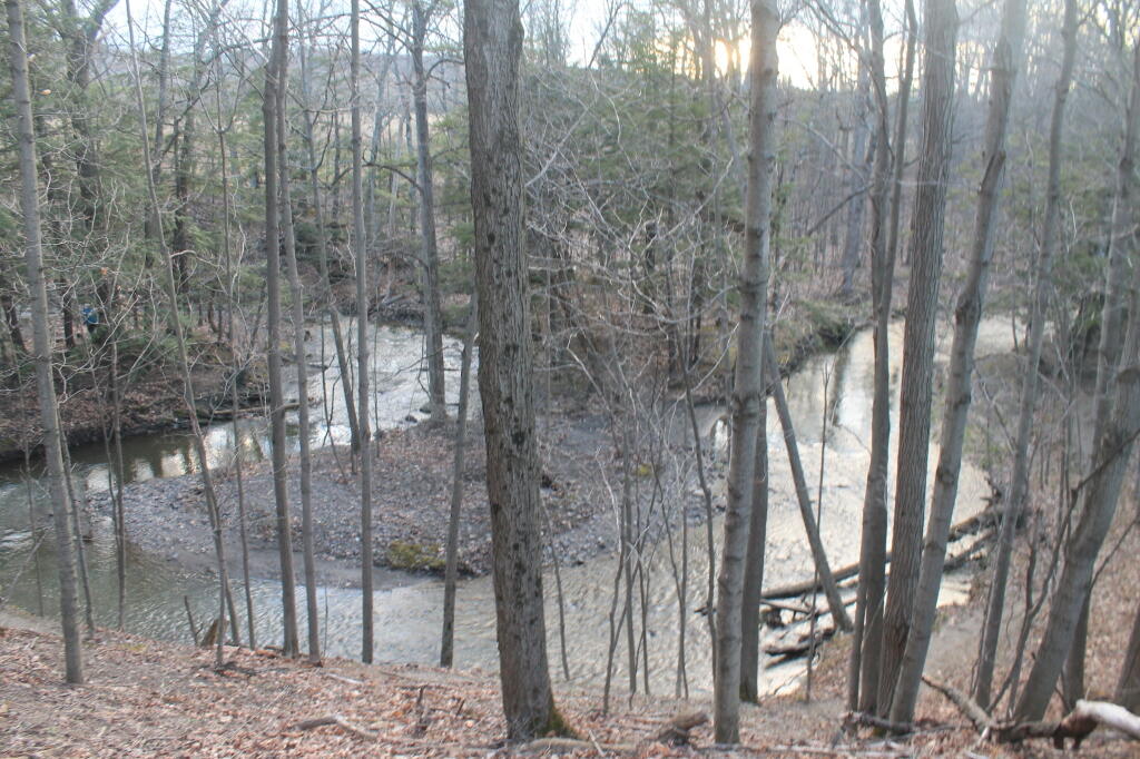 Photo: Oxbow in Vlomanskill Photo: Oxbow in Vlomanskill