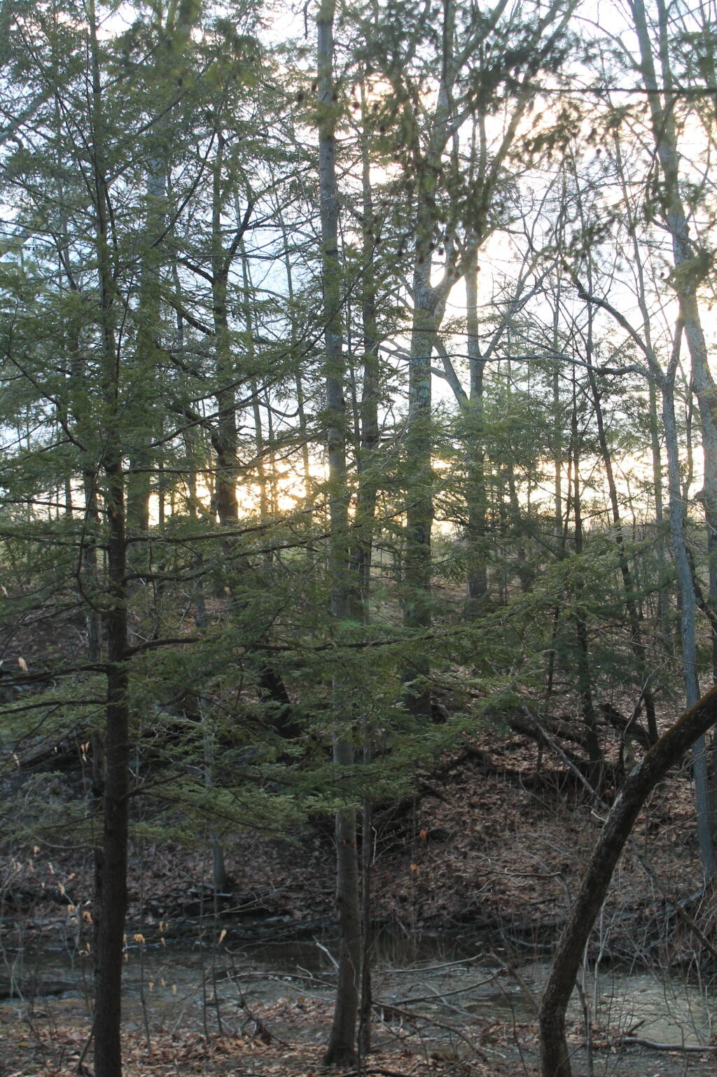 Photo: Above the Ravine Photo: Above the Ravine