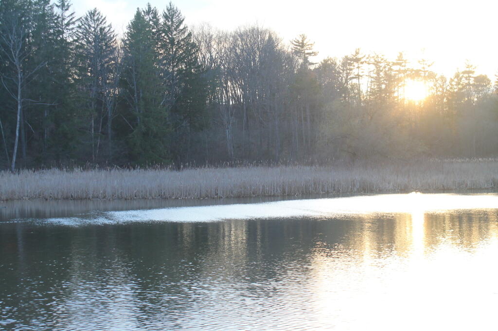 Photo: Setting Sun Near Game Farm Road