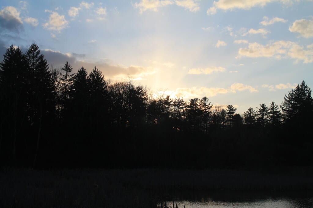 Photo: Goodbye Sun