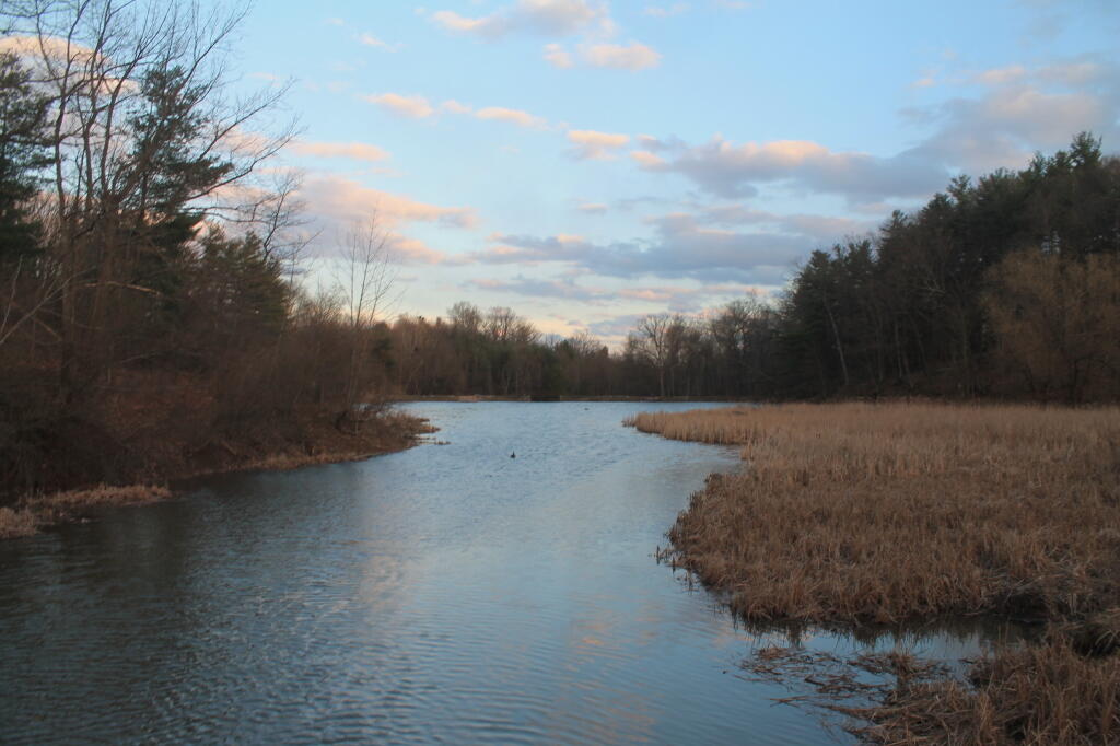 Photo: Lower Pond Photo: Lower Pond