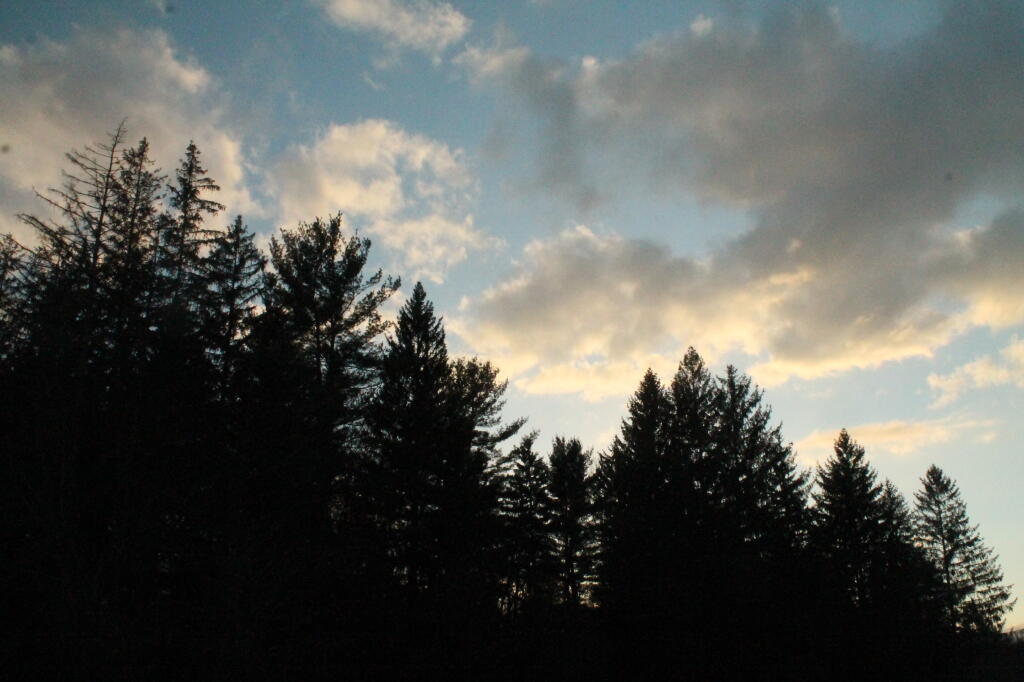 Photo: Clouds Over the Trees Photo: Clouds Over the Trees