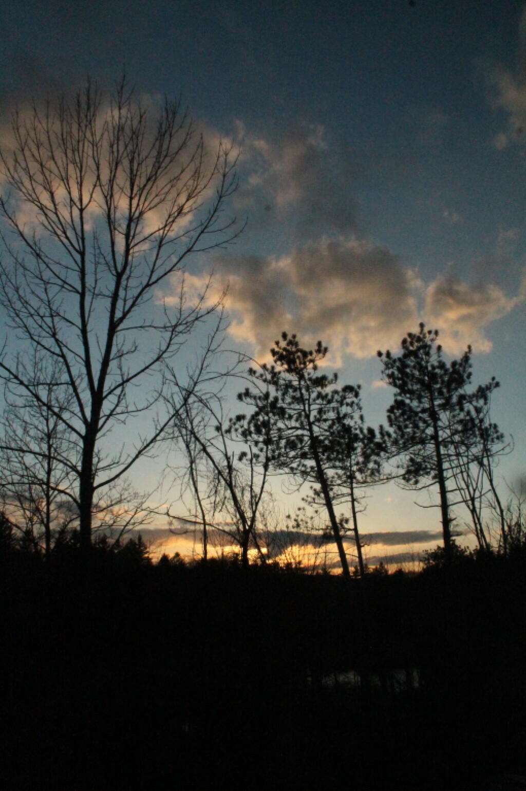 Photo: Last Light of the Day