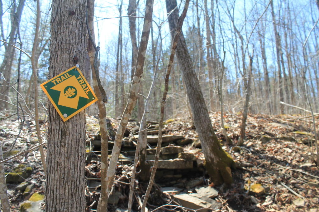 Photo: Photo.2013.04.21 15.37.35
