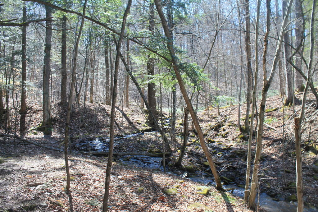 Photo: Creek Flowing Into Bozenkill