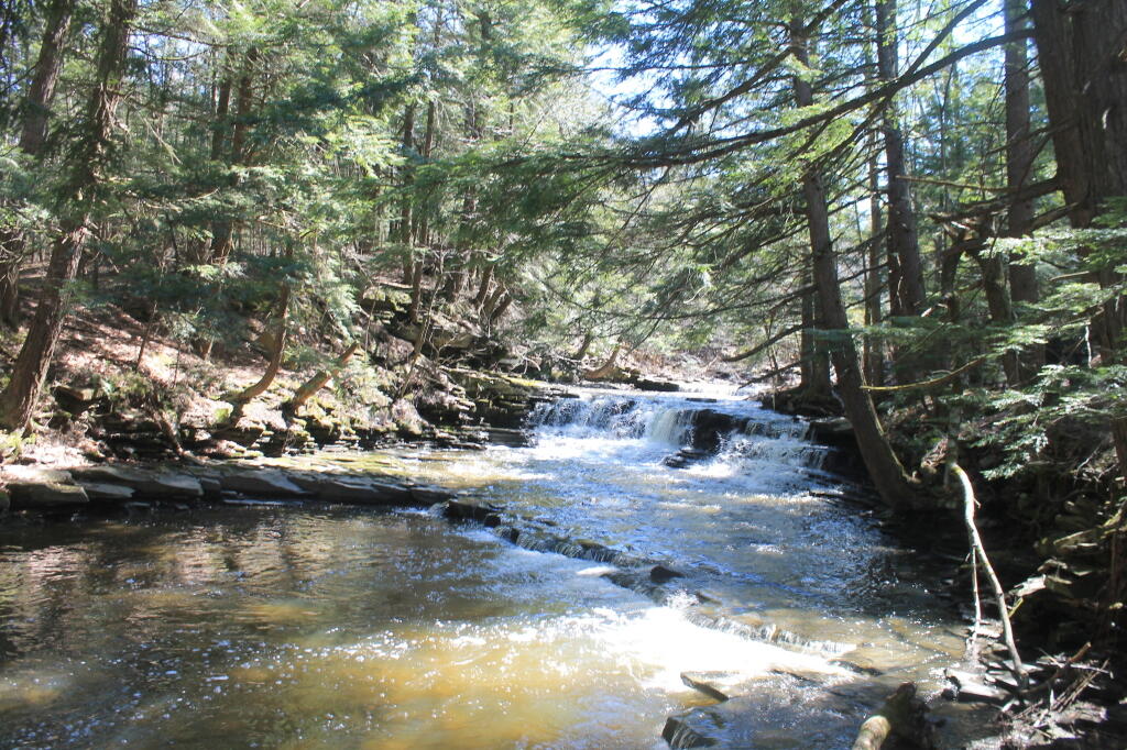 Photo: Small Falls in Bozenkill Photo: Small Falls in Bozenkill