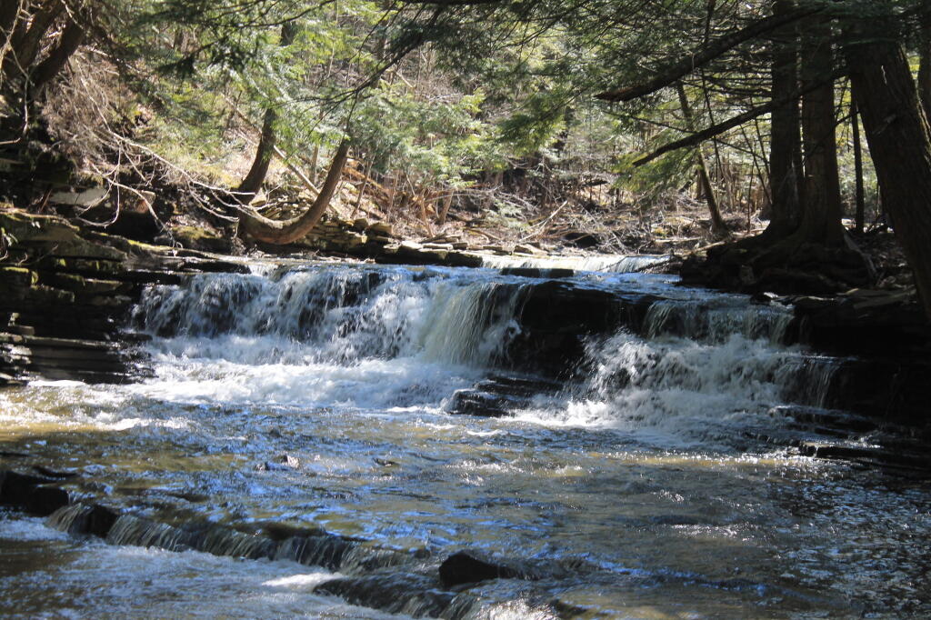 Photo: Falls Photo: Falls