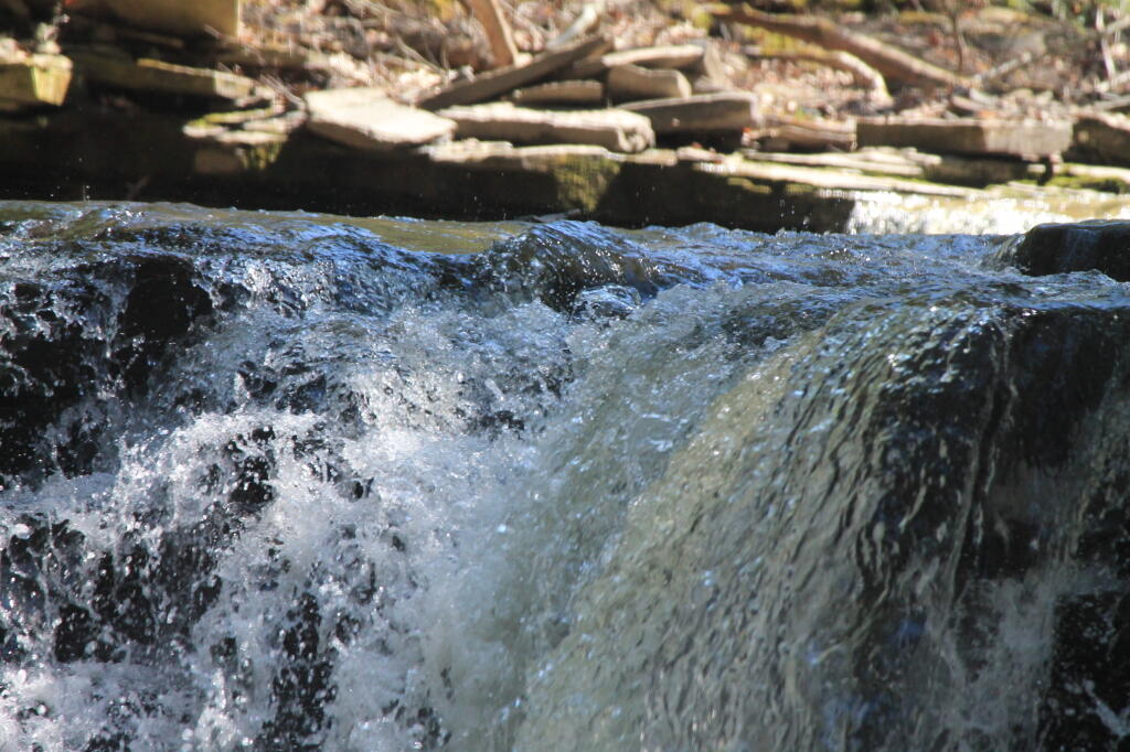 Photo: Falling Water