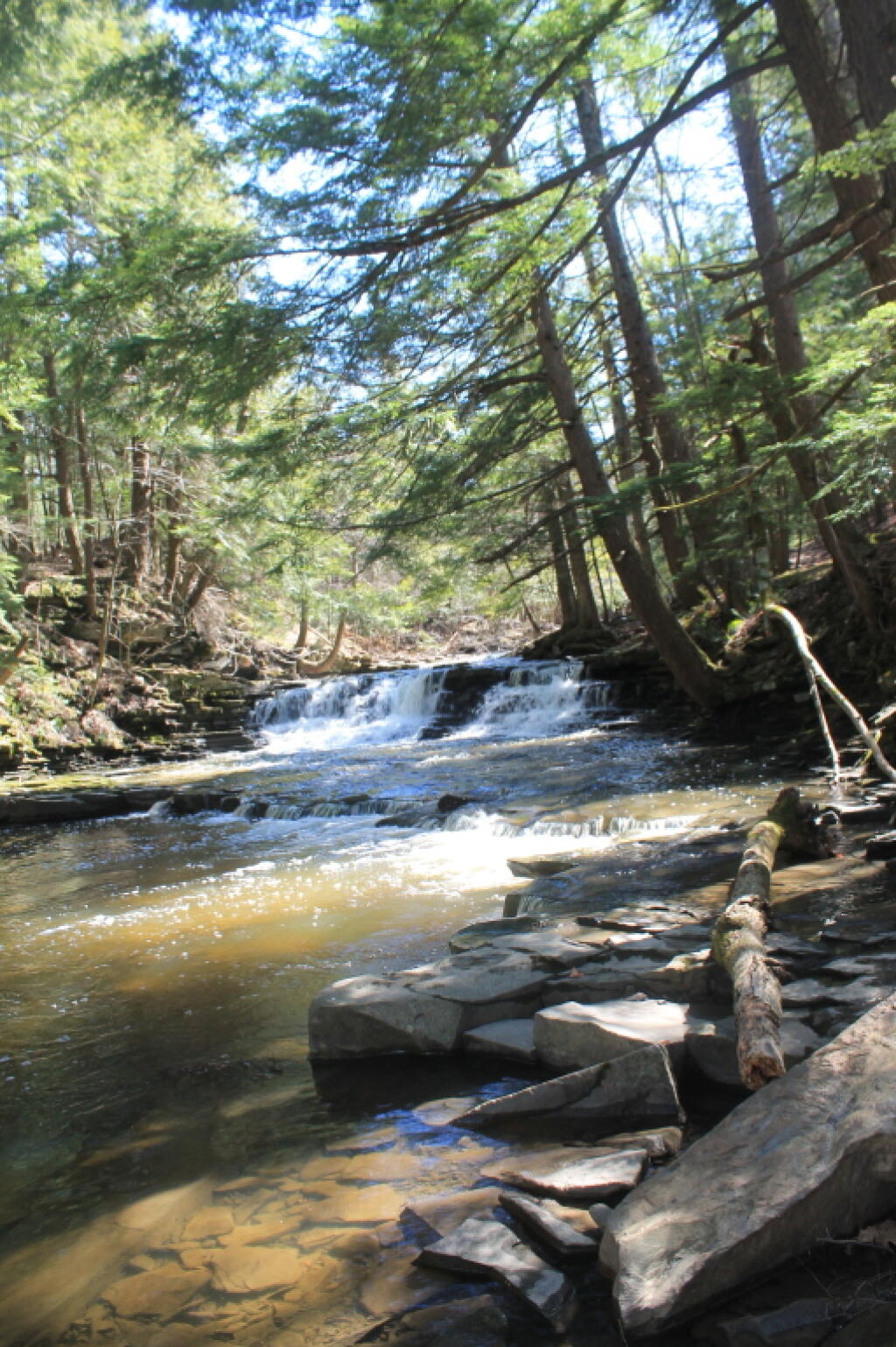 Photo: Bozenkill