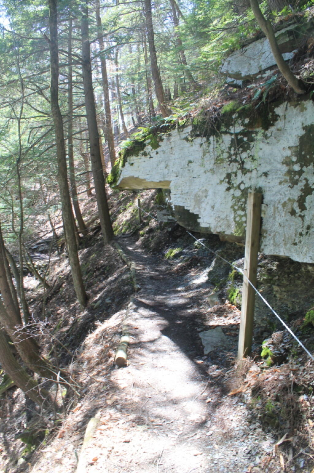 Photo: Heading Down to Upper Falls
