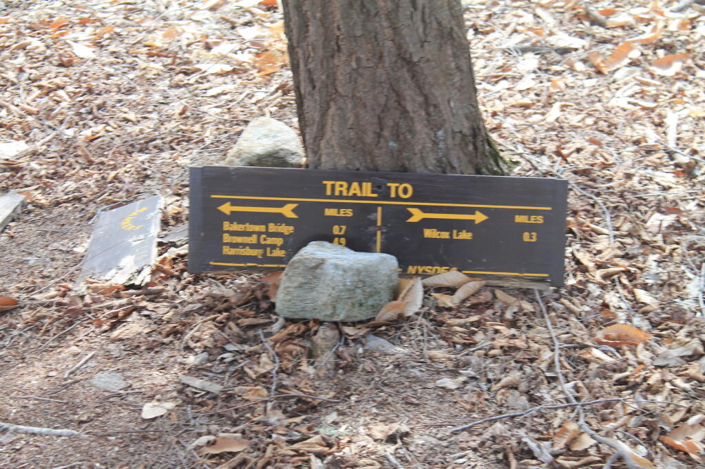 Photo: 3/10th of Mile to Wilcox Lake