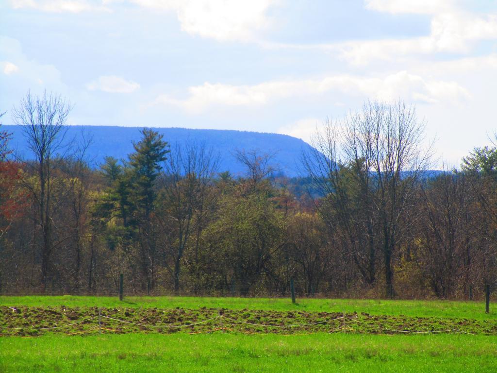Photo: Bennett Hill Photo: Bennett Hill