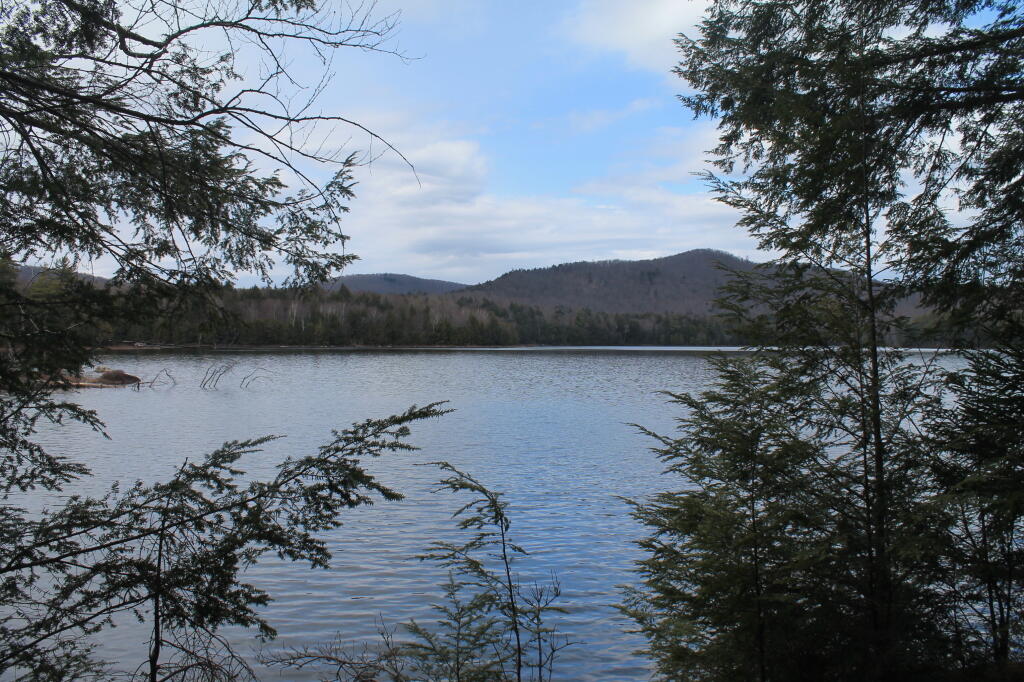 Photo: Wilcox Lake