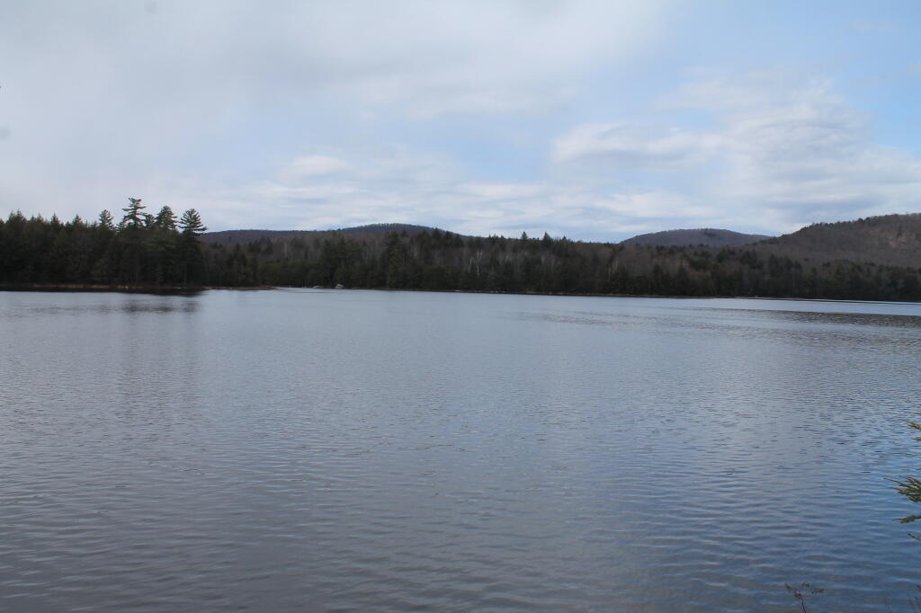 Photo: Wilcox Lake