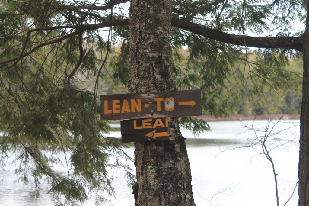 Photo: Lean-Tos -- Go Left or Right