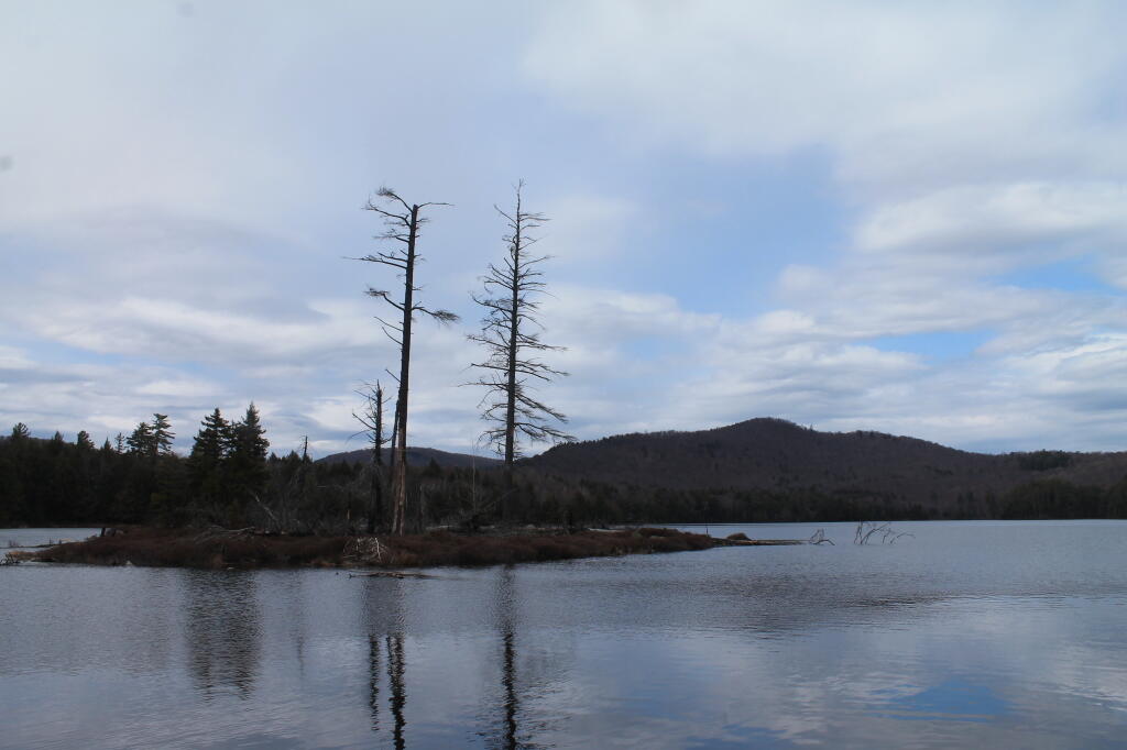 Photo: Island