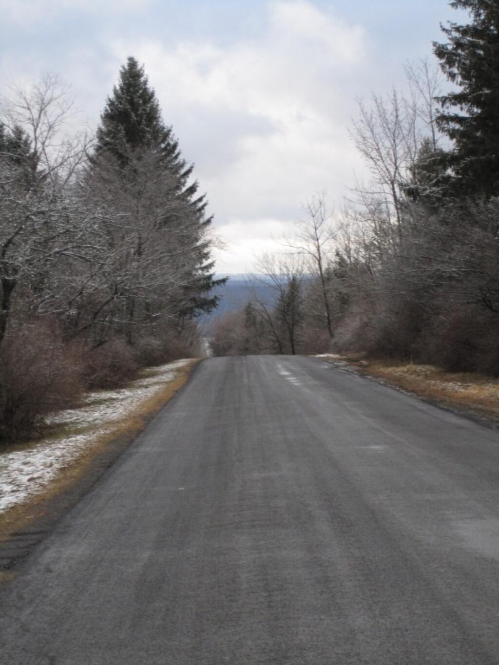 Photo: Some Snow on the Trees Photo: Some Snow on the Trees