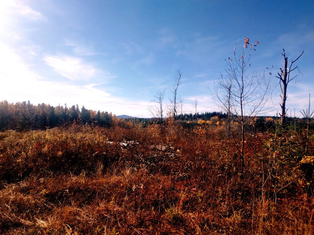 Photo: Hill Behind Camp Cass
