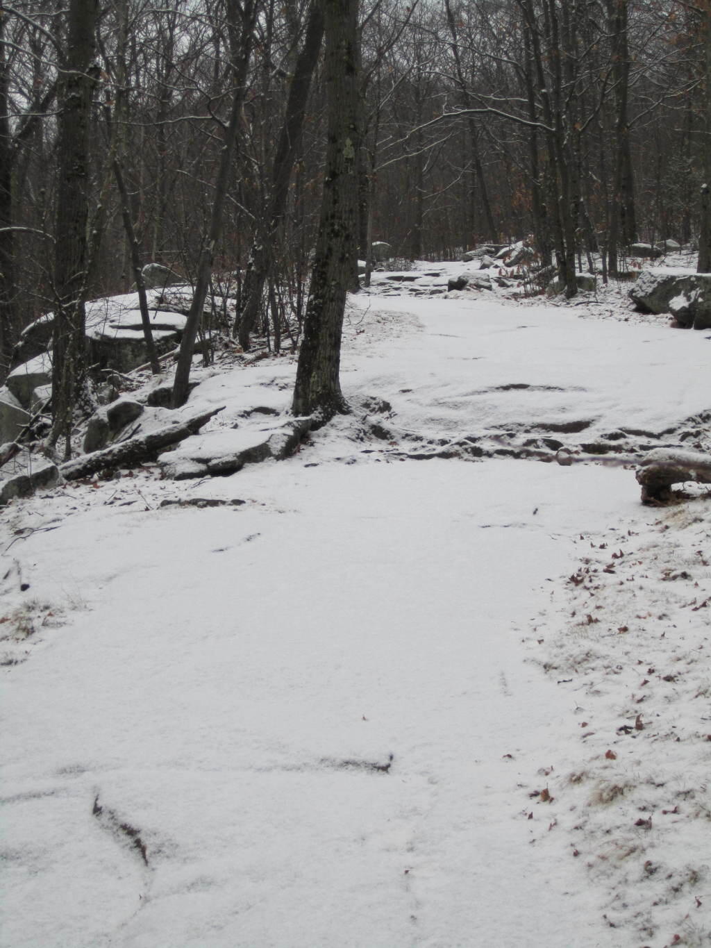 Photo: Icy Hiking Trail Photo: Icy Hiking Trail