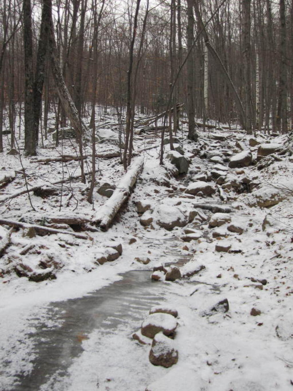 Photo: Evidentially, I Didn't Hike Up Most of Trail Photo: Evidentially, I Didn't Hike Up Most of Trail