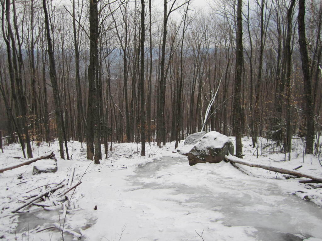 Photo: Slippery Photo: Slippery