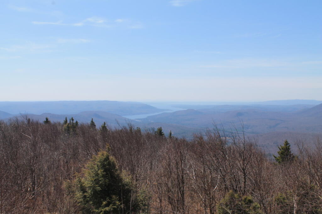 Photo: Great Sacandaga River thru Trees