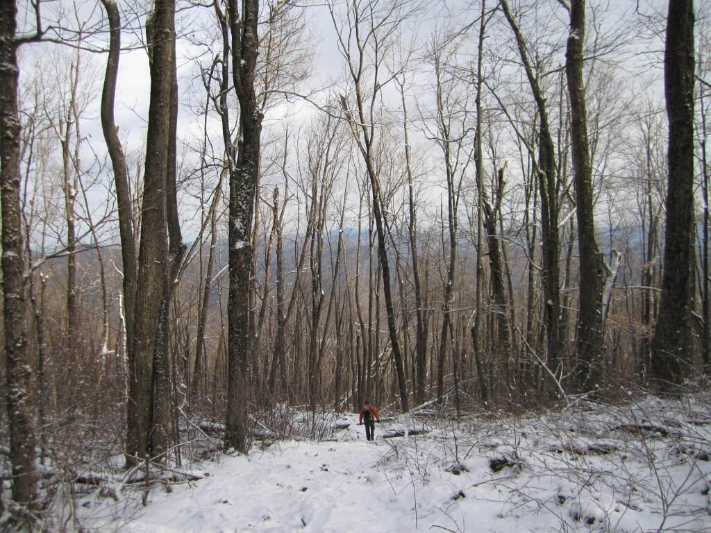 Photo: Hiker Heads Down Mountain