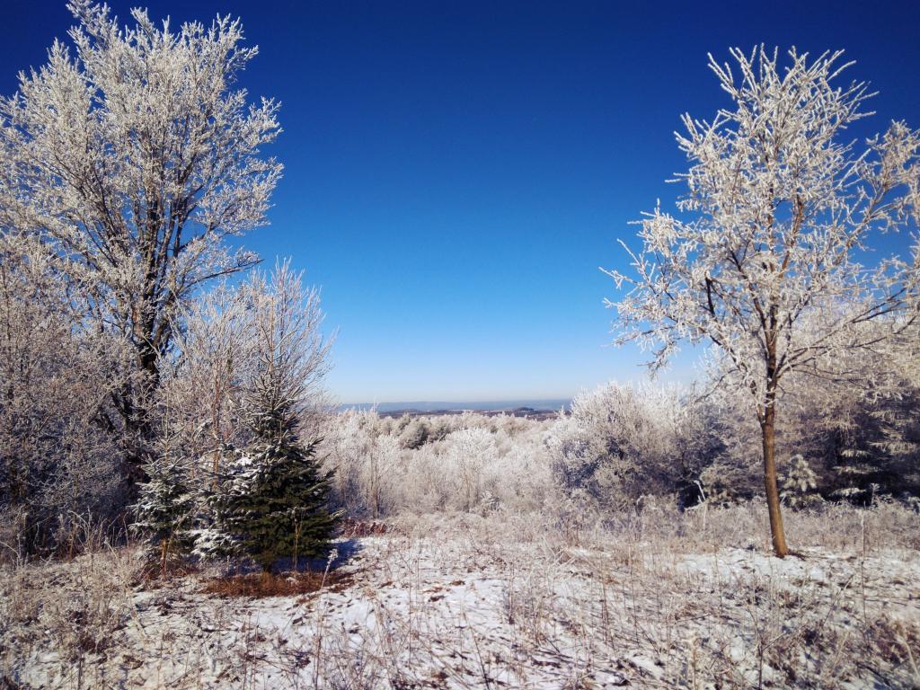 Photo: Hoar Frost on Tassell Hill