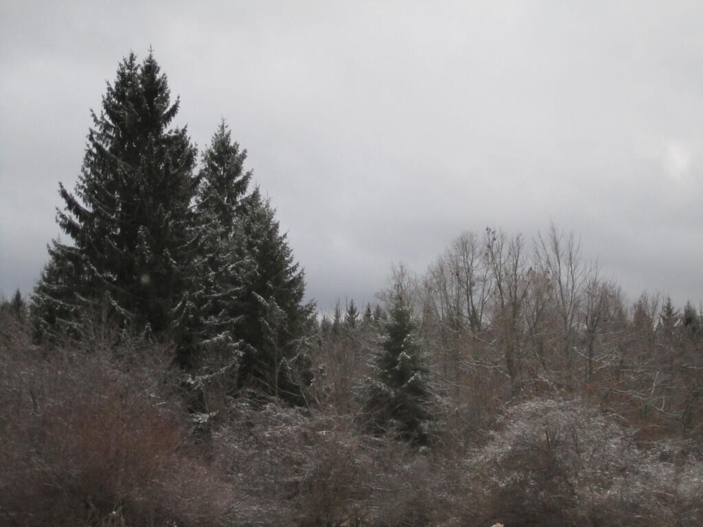 Photo: Along Bradt Hollow Road