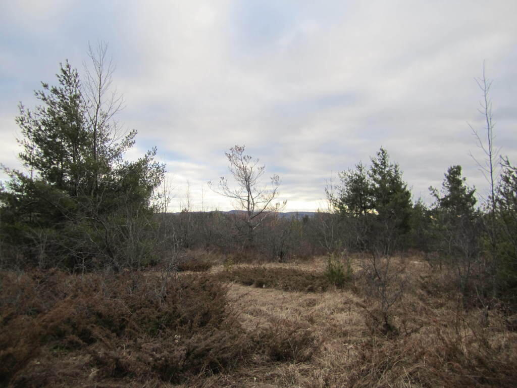 Photo: Near Old Foundation on Salisbury Trail Photo: Near Old Foundation on Salisbury Trail