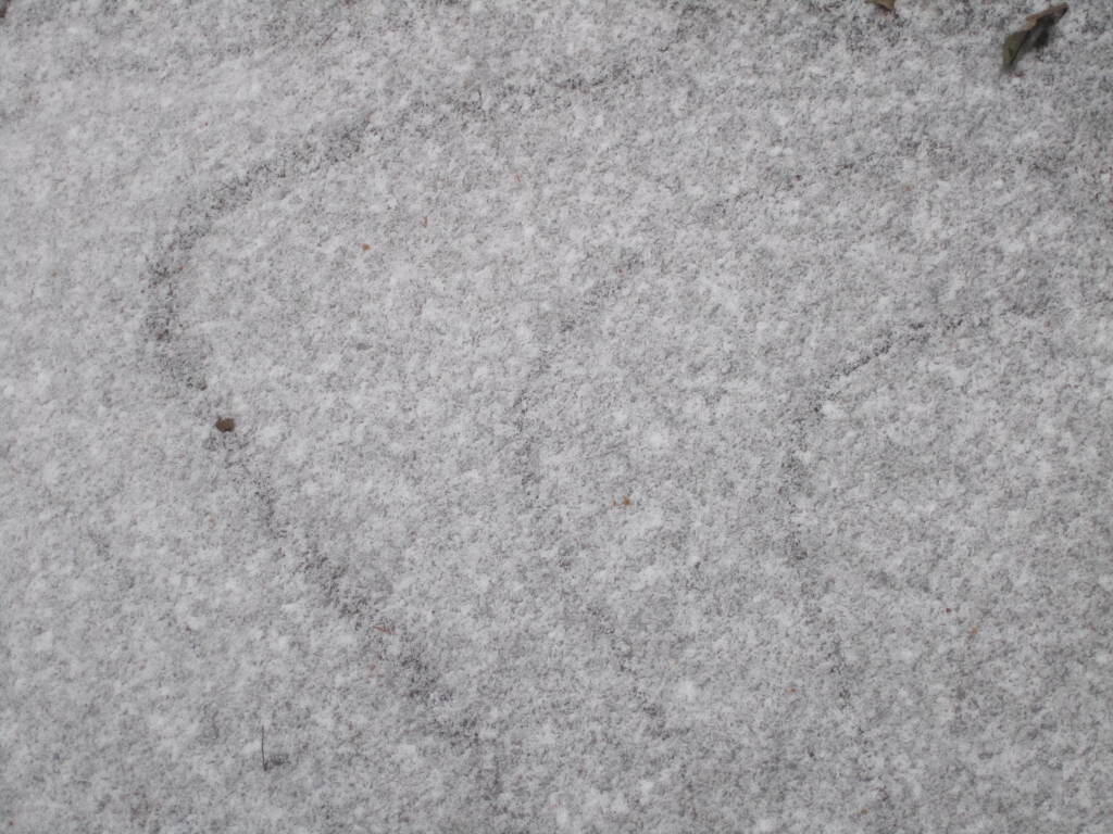 Photo: Ice Patterns Photo: Ice Patterns