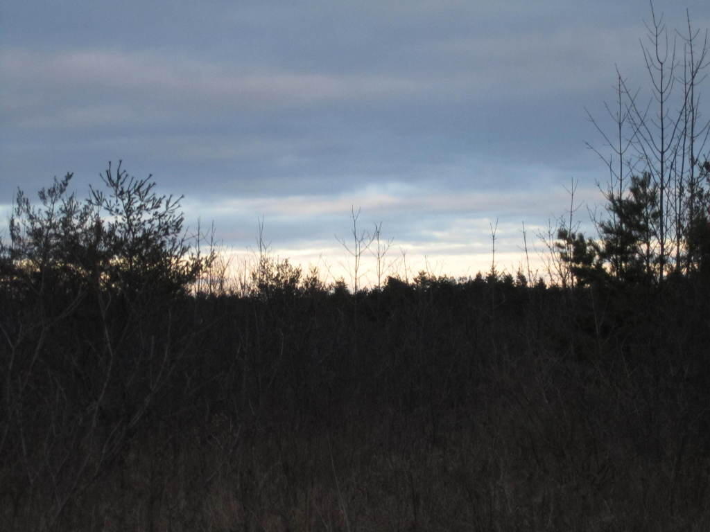 Photo: Dusk Photo: Dusk