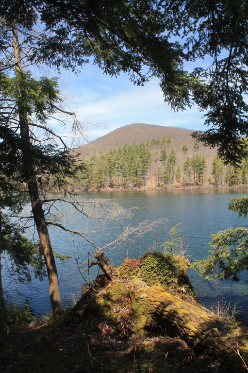 Photo: Woods Lake and Little Cat Head Mountain Photo: Woods Lake and Little Cat Head Mountain
