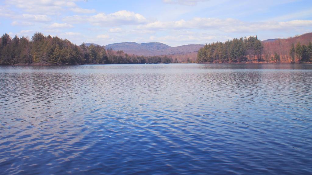 Photo: Woods Lake Photo: Woods Lake