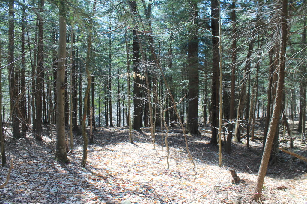 Photo: Walking Away from the Lake Photo: Walking Away from the Lake