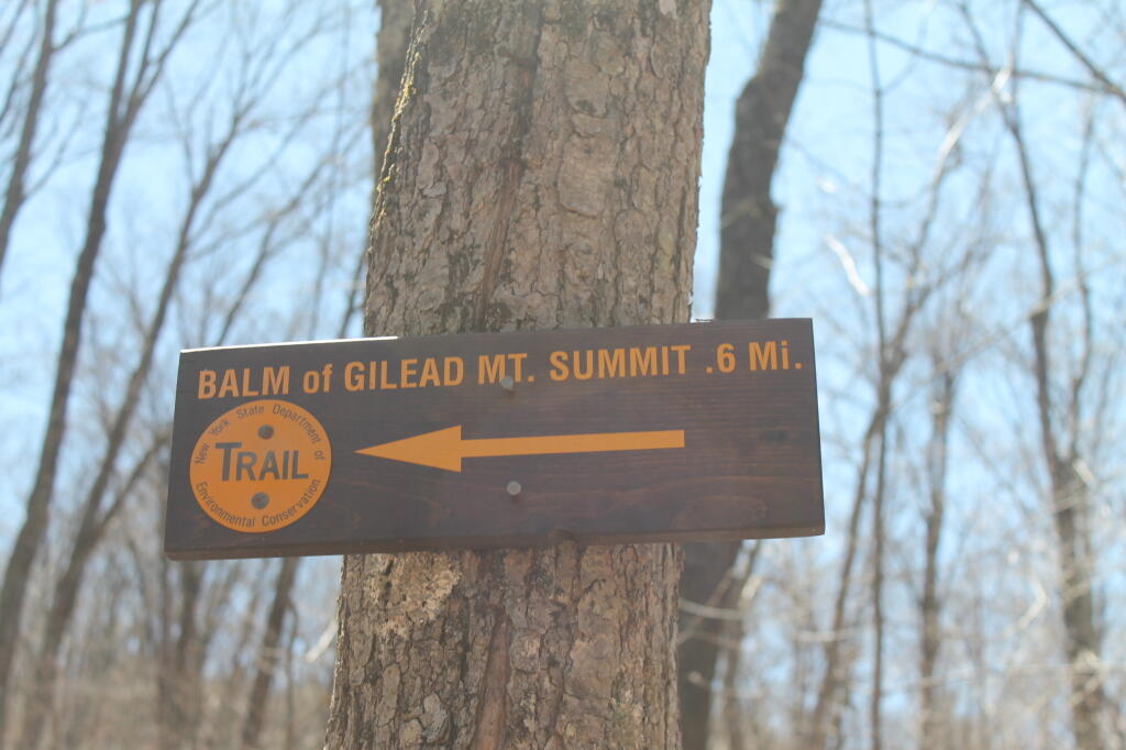 Photo: Only 6/10th Mile to Summit *