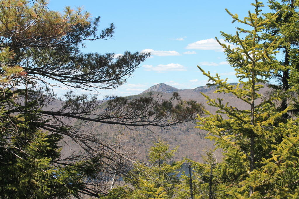 Photo: Hour Pond Mountain Photo: Hour Pond Mountain