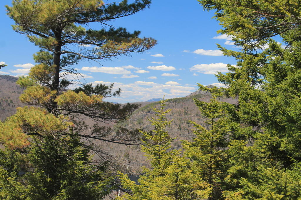 Photo: Blue Skies and Blue Mountain in Distance Photo: Blue Skies and Blue Mountain in Distance