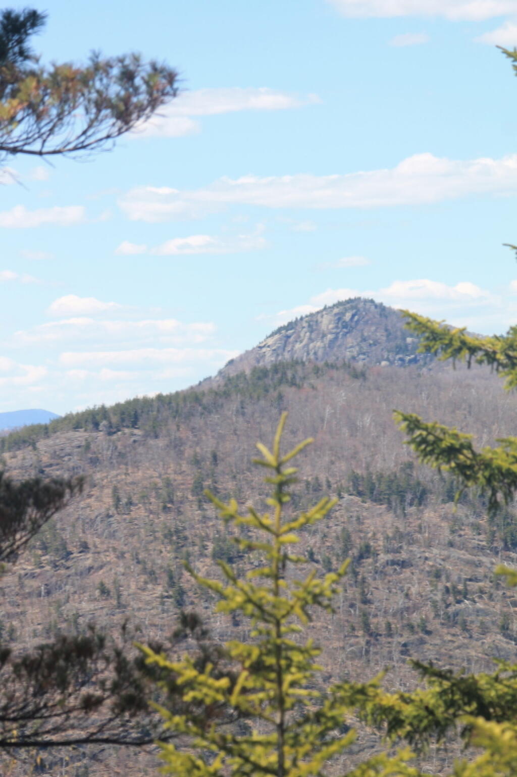 Photo: Hour Pond Mountain Photo: Hour Pond Mountain