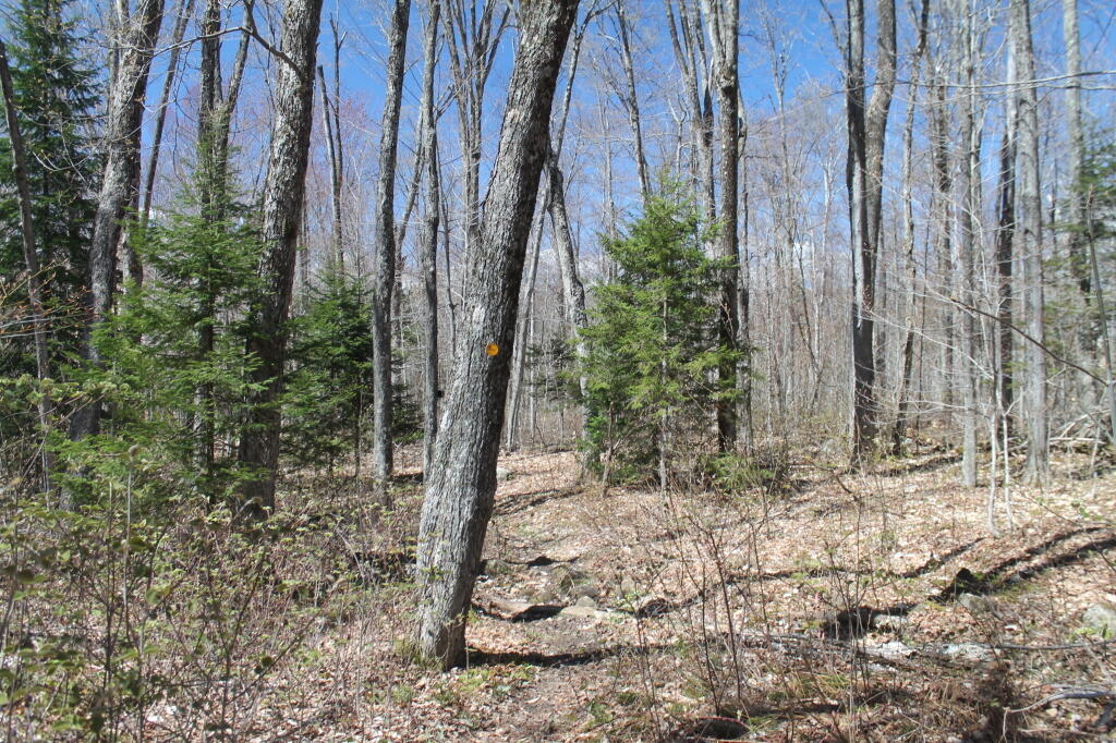 Photo: William Blake Trail