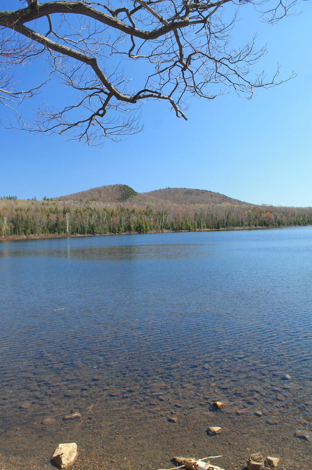 Photo: Across the Lake To Balm of Gilead