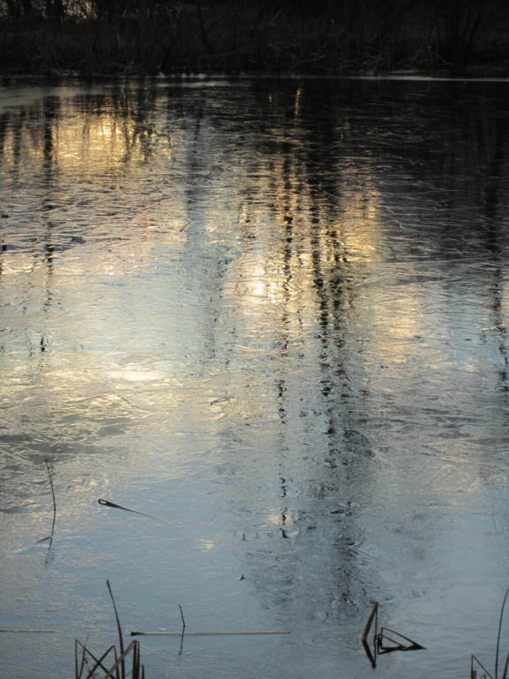Photo: Ice Reflecting Photo: Ice Reflecting