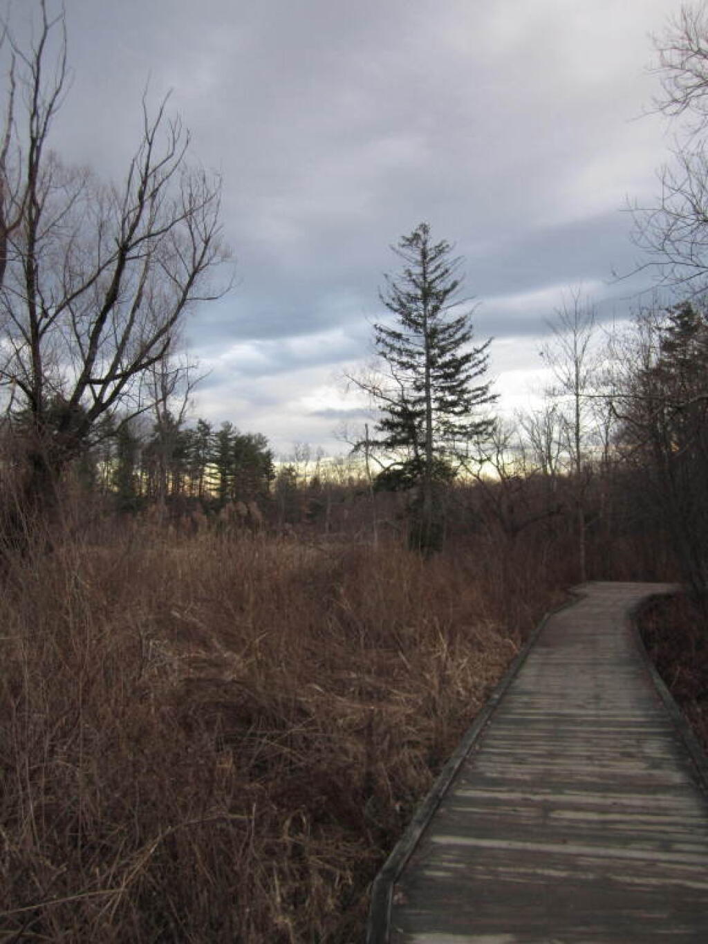 Photo: Along the Boardwalk