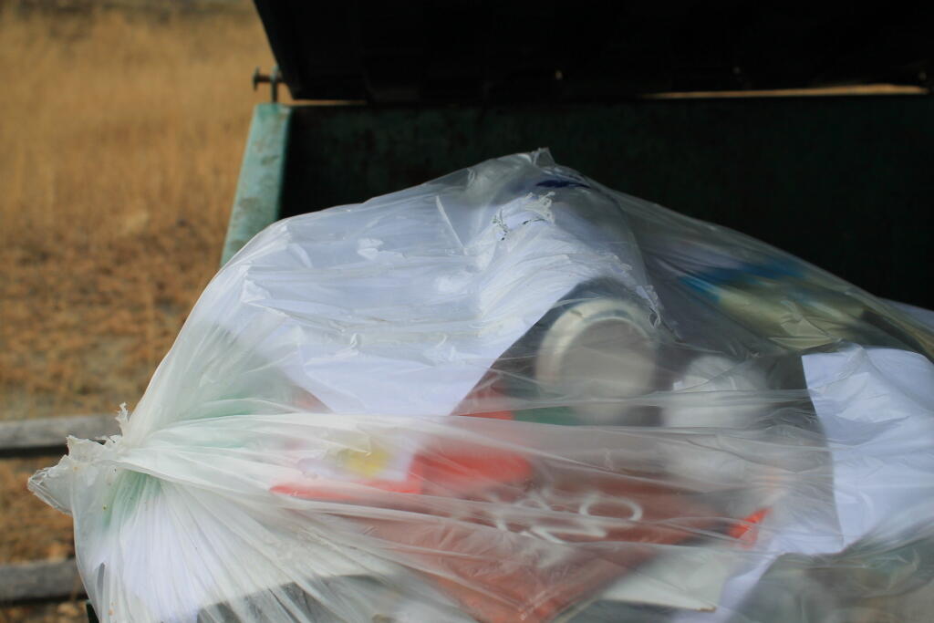 Photo: Recycables in Albany Pine Bush Dumper Photo: Recycables in Albany Pine Bush Dumper