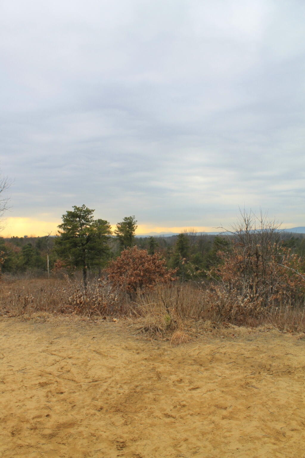 Photo: Overlook Dune
