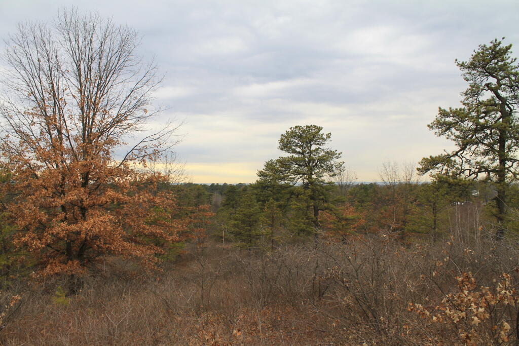 Photo: Overlook Dune 2