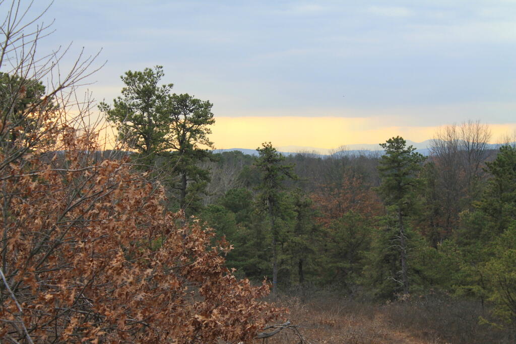 Photo: Overlook Dune 3