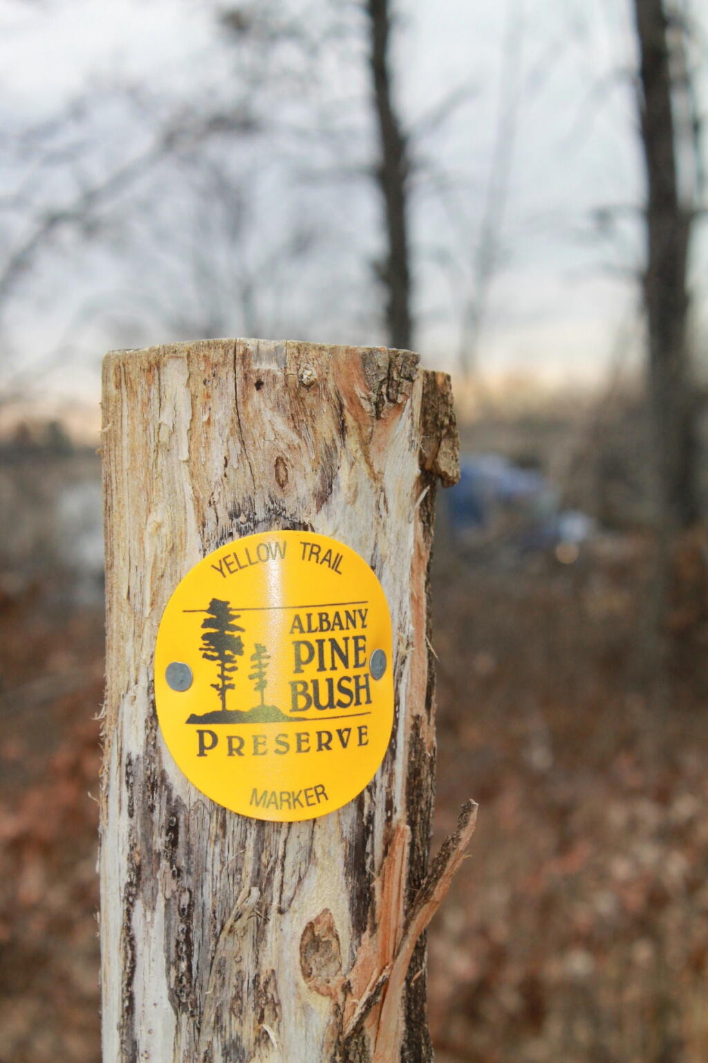 Photo: Yellow Trail Marker