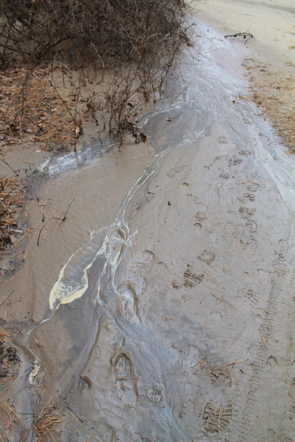 Photo: Foamy Lechate Leaking Off the Landfill