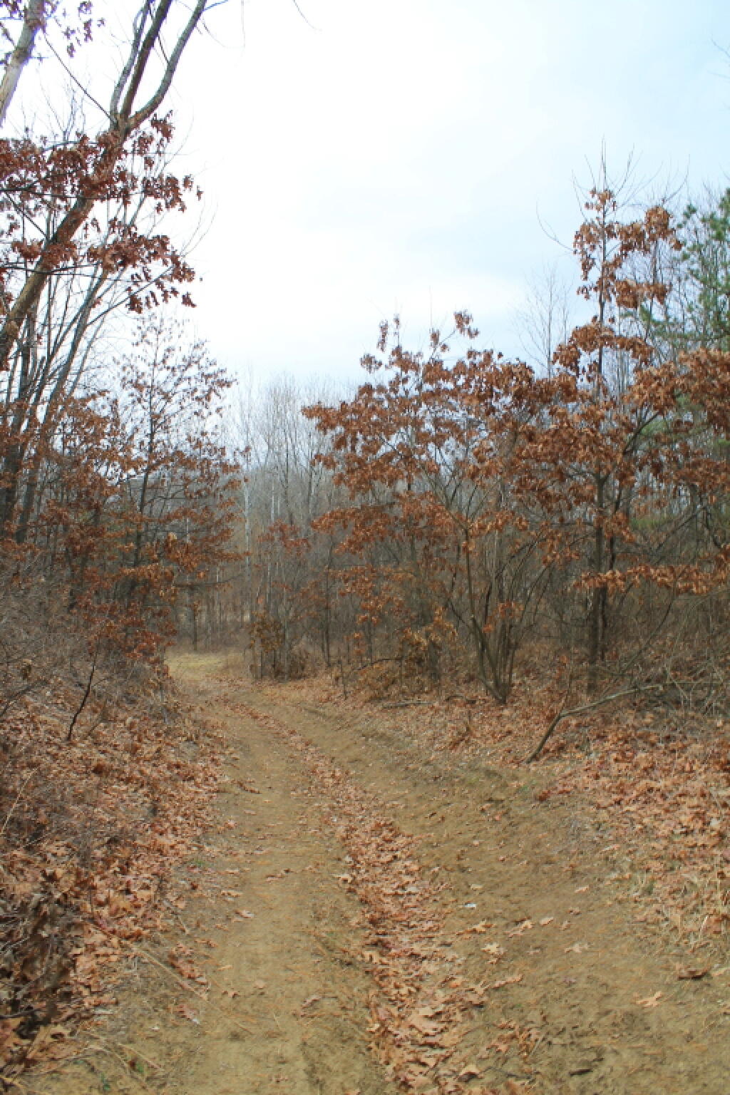 Photo: Heading Towards the Pond Photo: Heading Towards the Pond